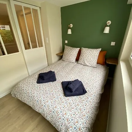 Le Cocon Strasbourgeois Appartement Straatsburg